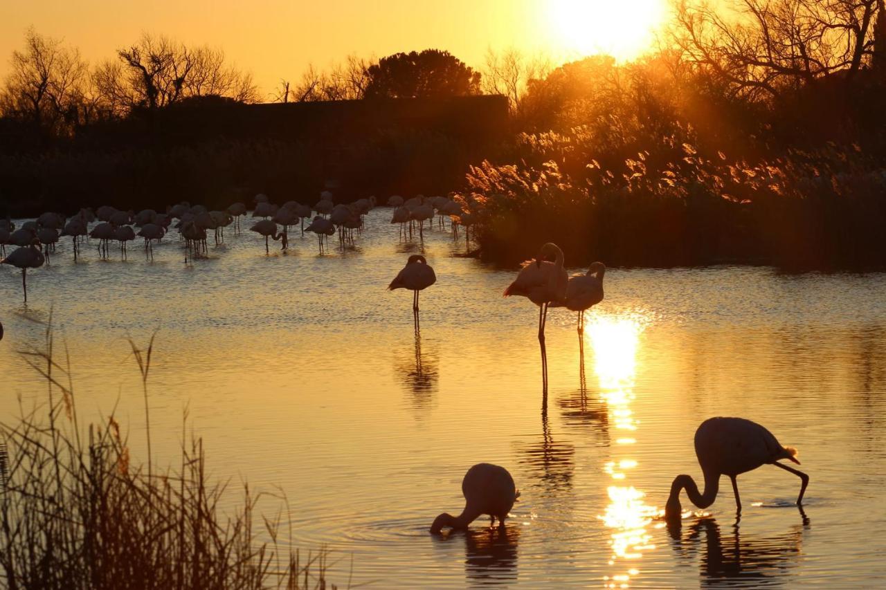 Lou Meinado Saint-Martin-de-Crau Esterno foto